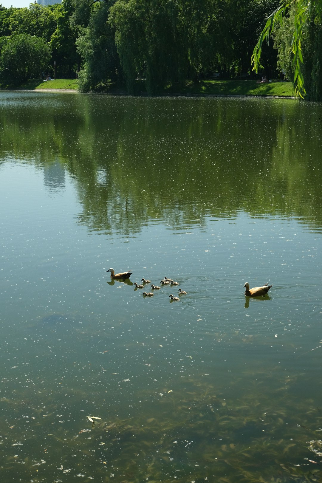peaceful family life
